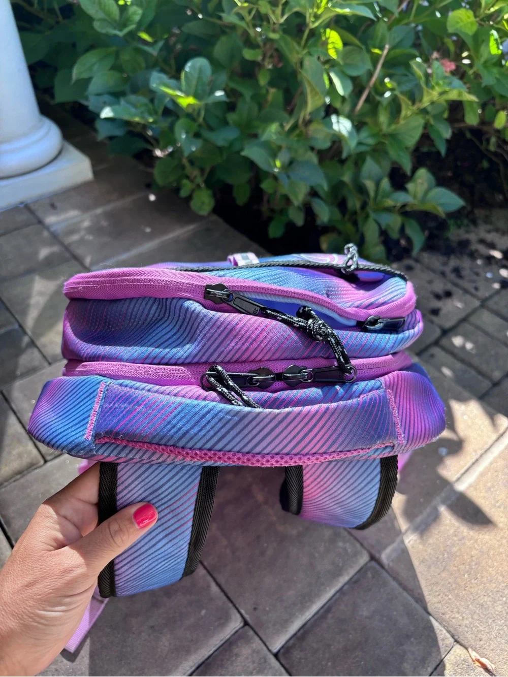 Champion Purple and Pink Ombre Backpack for Men